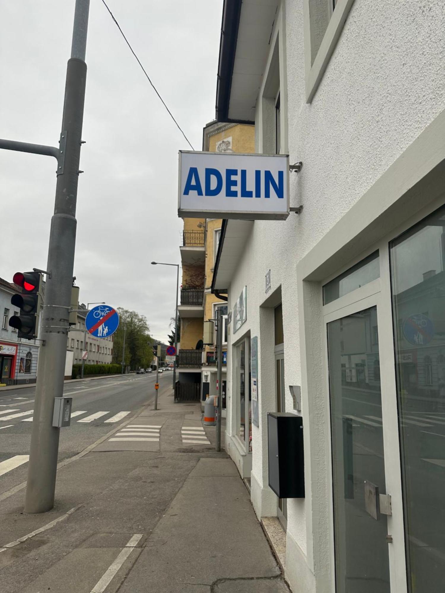 Adelin Vienna Vandrehjem Eksteriør billede